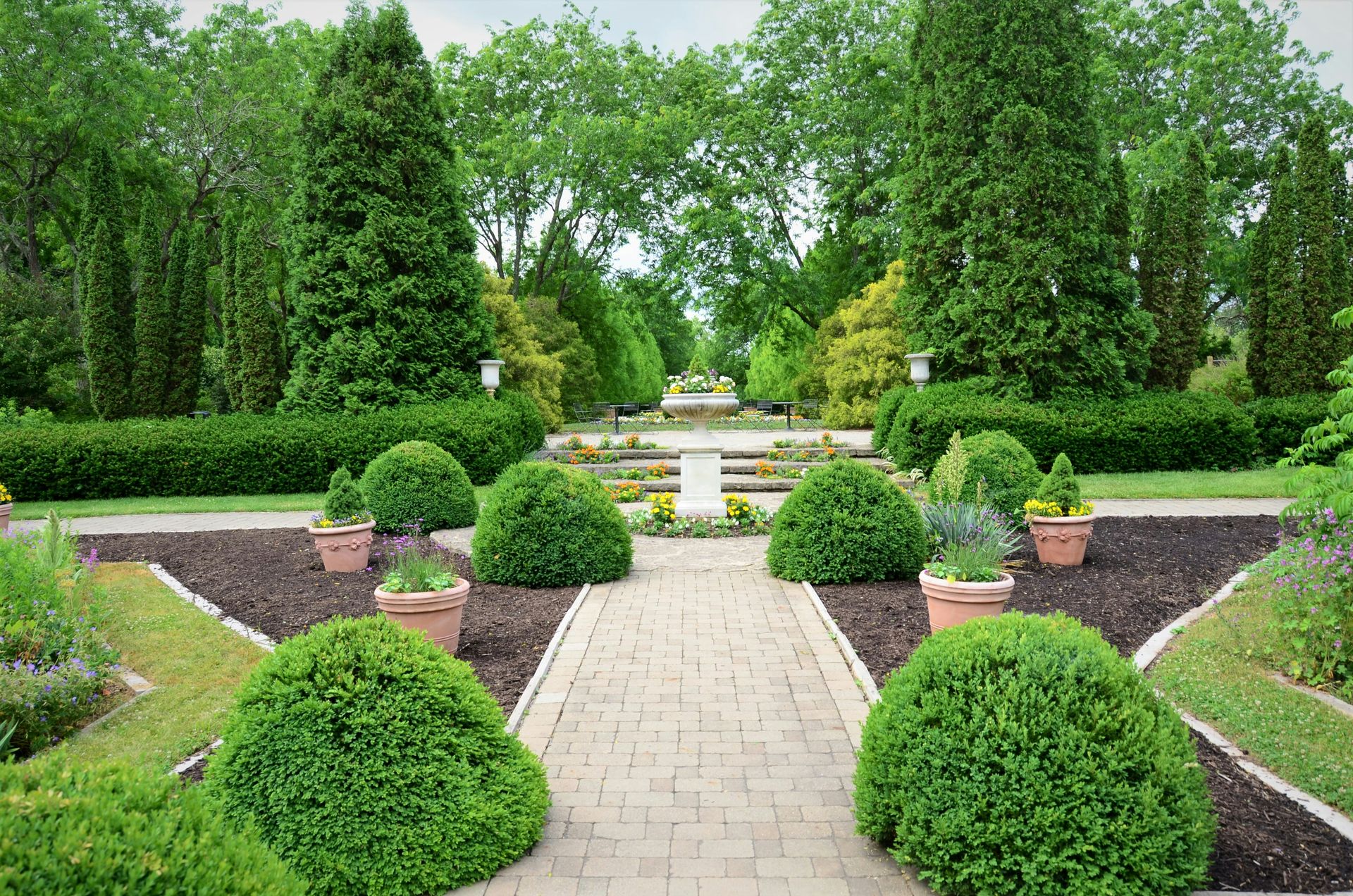 a garden filled with lots of green trees